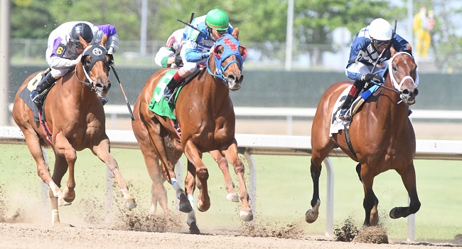Racing | Prairie Meadows